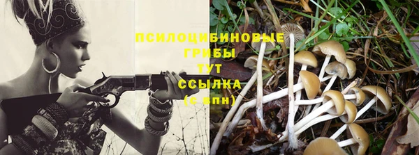 Альфа ПВП Мегион