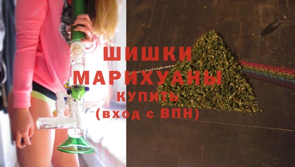 сатива Беломорск