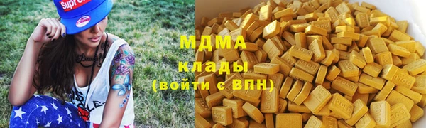 сатива Беломорск