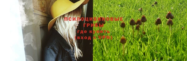 каннабис Медногорск