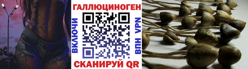 Псилоцибиновые грибы прущие грибы  цена   Белоусово 